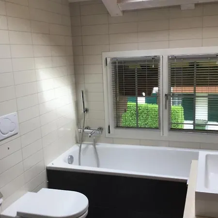 Apartman Bim Buehlmaettli 4 Bett By Interhome
