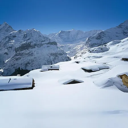 Apartman Bim Buehlmaettli 4 Bett By Interhome Grindelwald