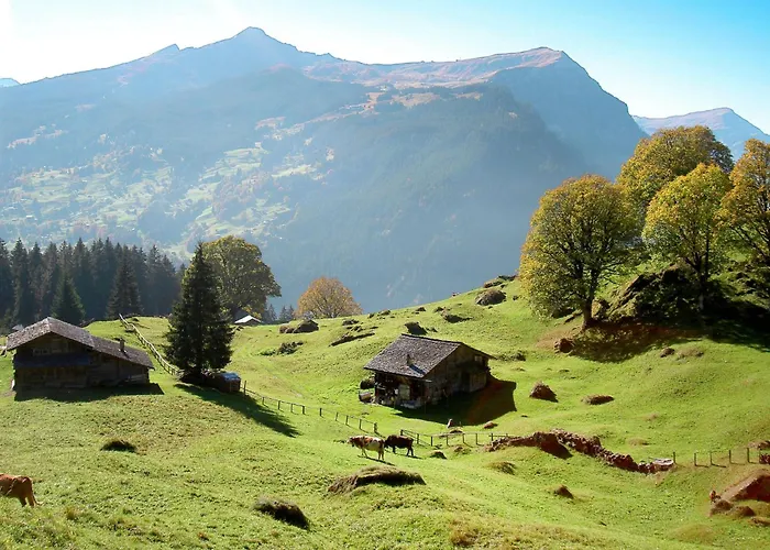 Bim Buehlmaettli 4 Bett By Interhome 아파트 *