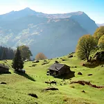 Bim Buehlmaettli 4 Bett By Interhome Lejlighed *